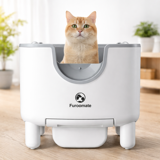 Automatic Cat Litter Box with Odor Control.